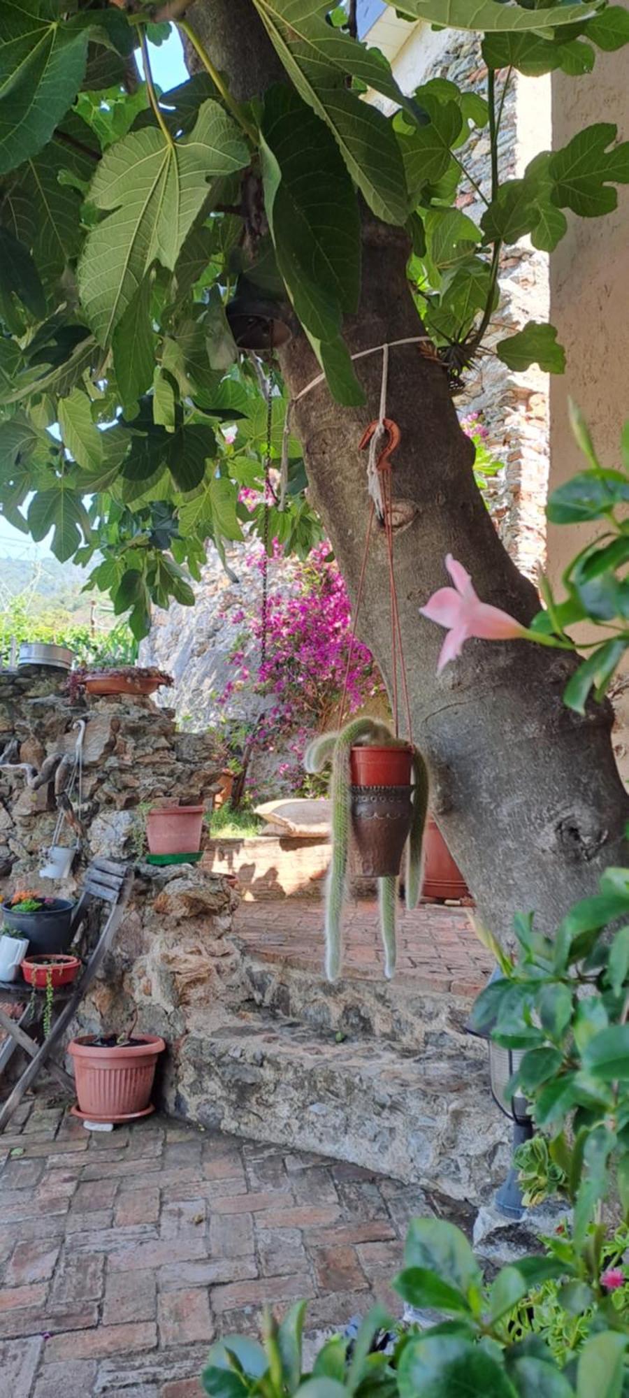 B&B L' Antica Macina 퀼라노 외부 사진
