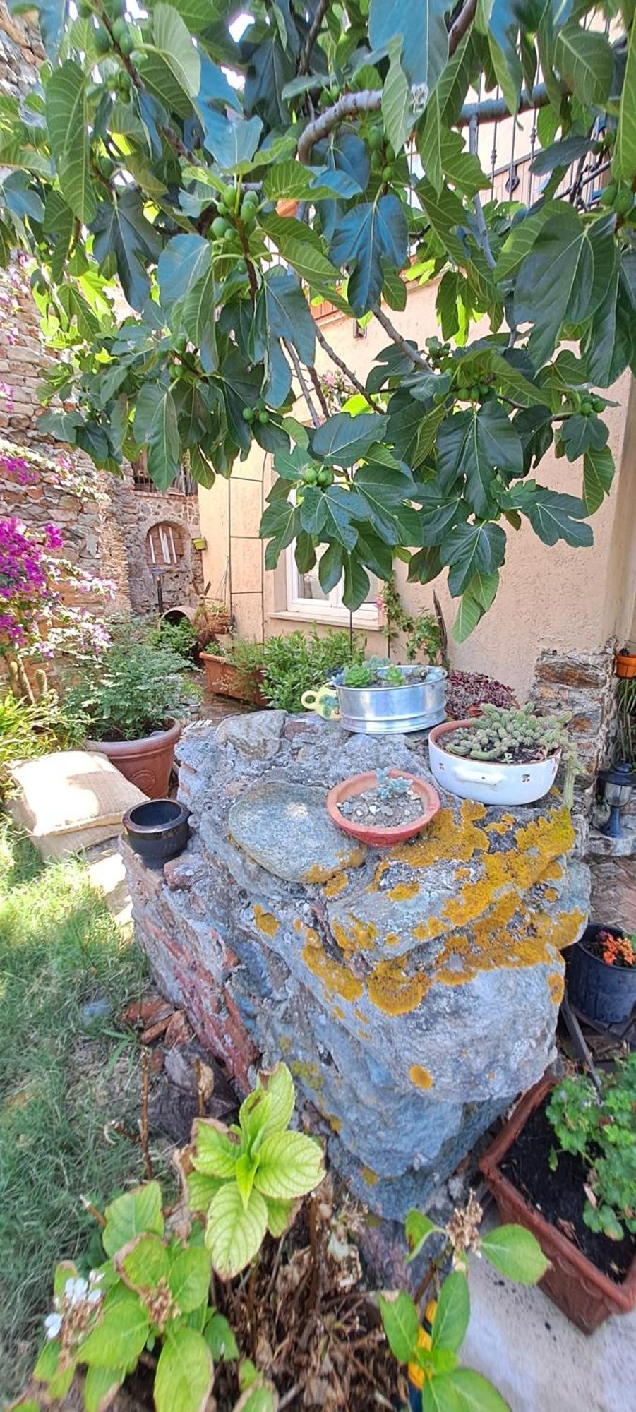 B&B L' Antica Macina 퀼라노 외부 사진