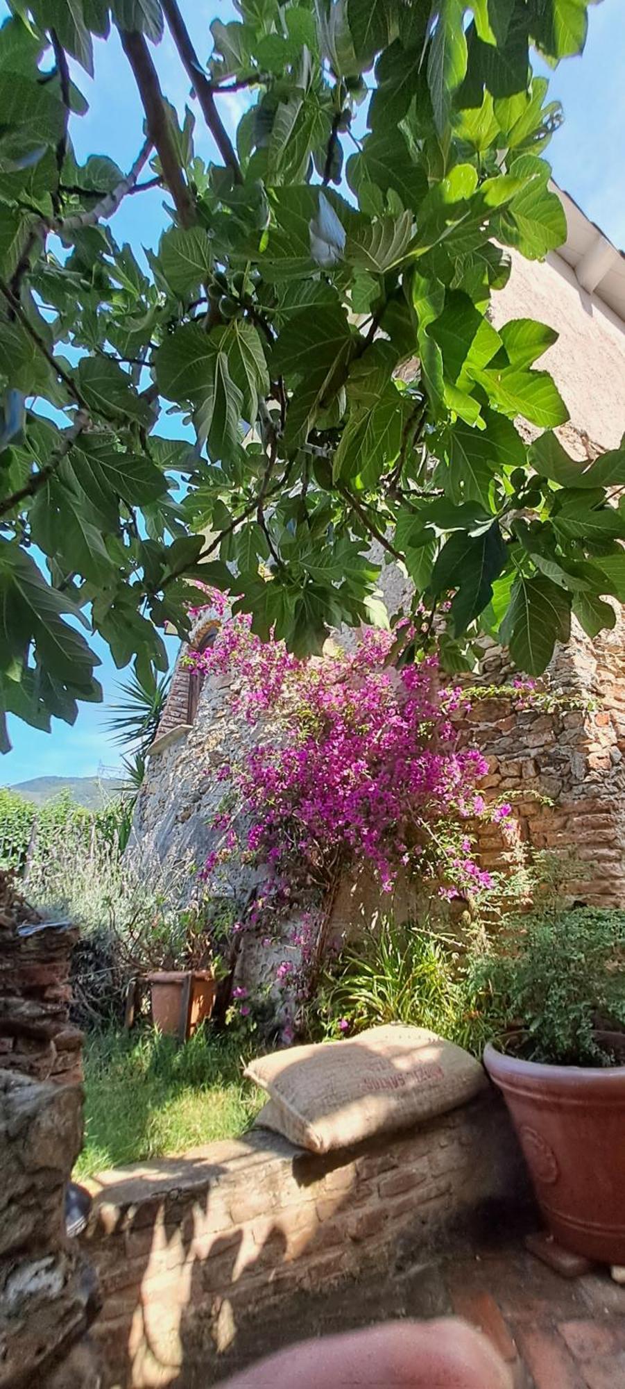 B&B L' Antica Macina 퀼라노 외부 사진